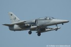 DSC_4407K.jpg