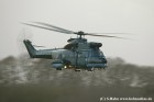 DSC_5608K.jpg