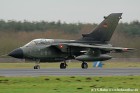 DSC_5265K.jpg