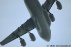 DSC_10373K.jpg