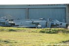 DSC_7450.jpg