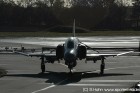 DSC_7504.jpg