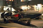 DSC_0074.jpg