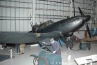 DSC_0039.jpg