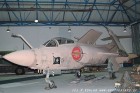 DSC_0074.jpg