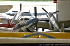DSC2731.jpg