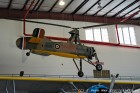 DSC2574.jpg