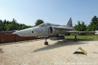 DSC_3988.jpg