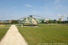DSC_3944.jpg