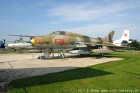 DSC_3891.jpg